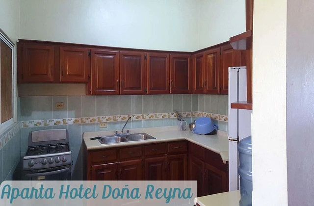 Aparthotel Dona Reyna La Caleta Kitchen